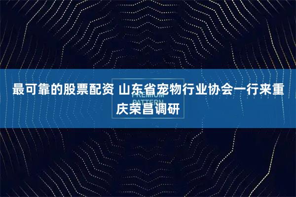 最可靠的股票配资 山东省宠物行业协会一行来重庆荣昌调研