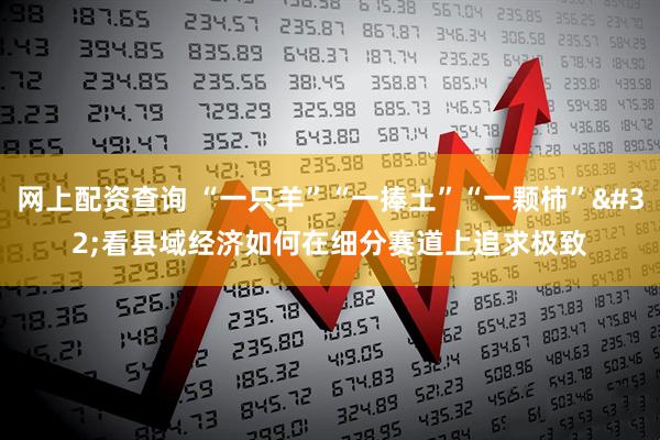 网上配资查询 “一只羊”“一捧土”“一颗柿” 看县域经济如何在细分赛道上追求极致